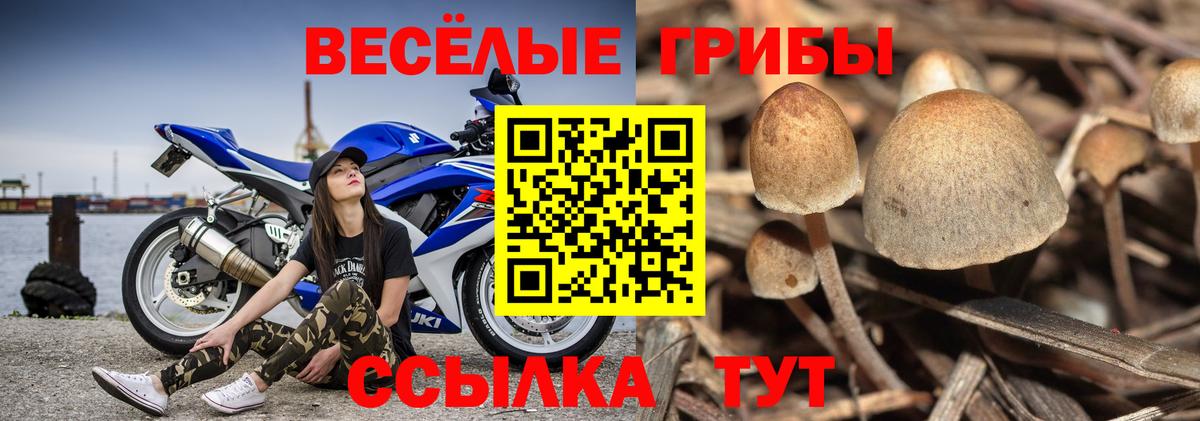 Псков  Галлюциногенные грибы мухоморы  Вход с VPN 
